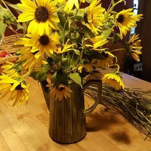 Meet your Posher, Liz